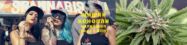 ГАЛЛЮЦИНОГЕННЫЕ ГРИБЫ Алексеевка