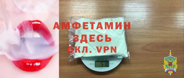 СК Алексин
