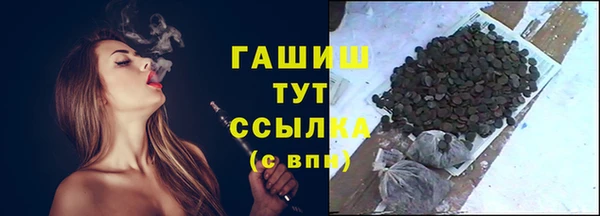 СК Алексин
