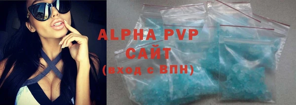 СК Алексин