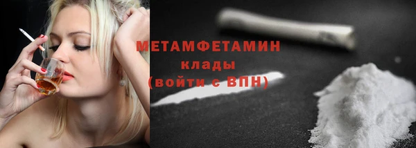 стаф Гатчина