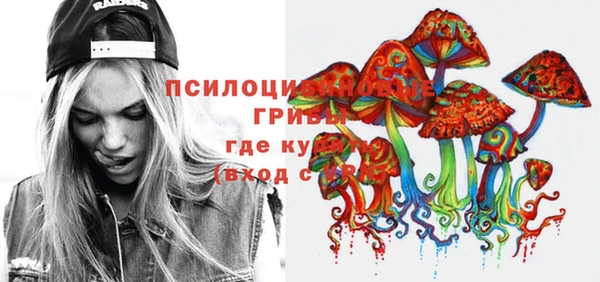 СК Алексин