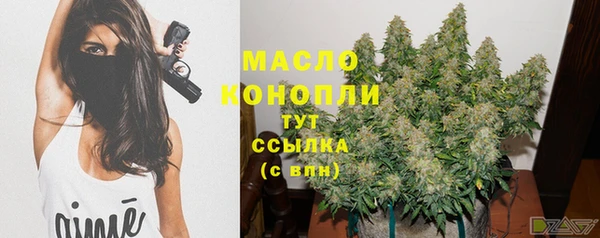 СК Алексин