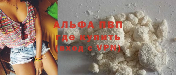 СК Алексин
