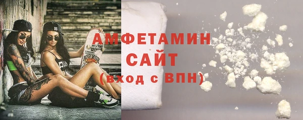 СК Алексин