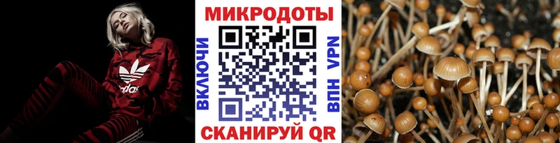Галлюциногенные грибы Cubensis  Лабинск 